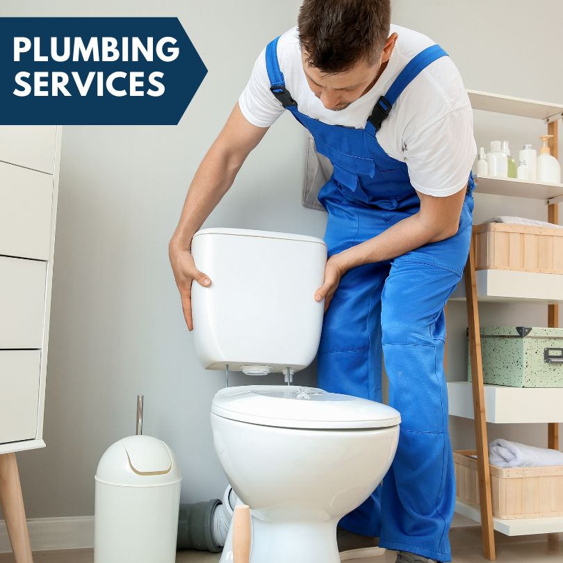 Plumbing Company in Saint Clair Shores, MI